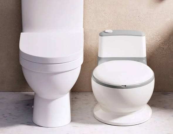 ბავშვის ქოთანი - Image 2